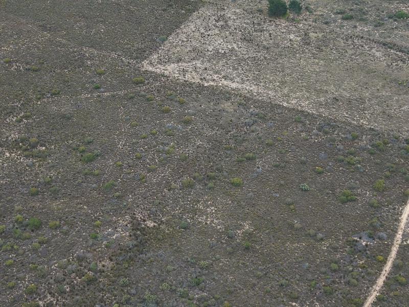 1 Bedroom Property for Sale in Riversdale Western Cape